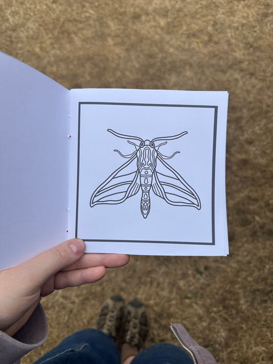 Cosy Bug Mini Colouring Book 1