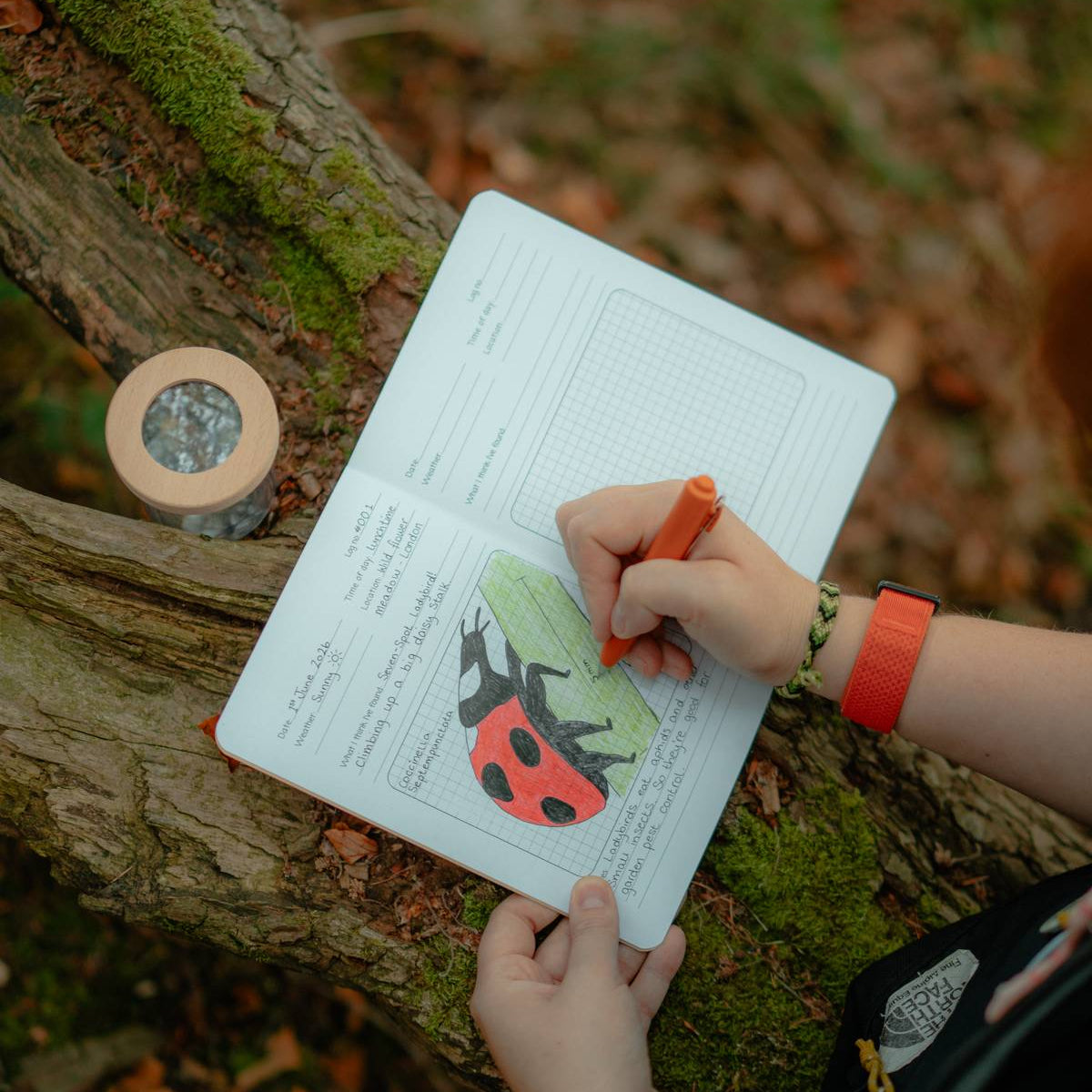 A person's hands holding an open notebook with a ladybug illustration and writing in it with an orange pen, placed on a mossy tree trunk outdoors.