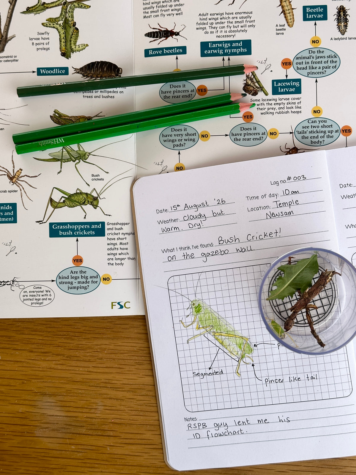 The Bug Spotters Journal