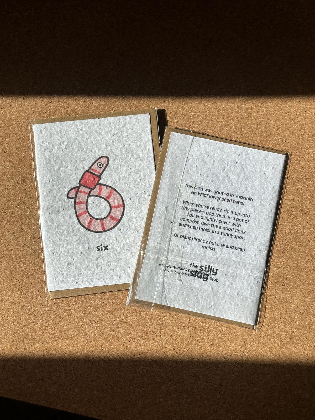 Wiggly Worm 6th Birthday Card | wild flower paper