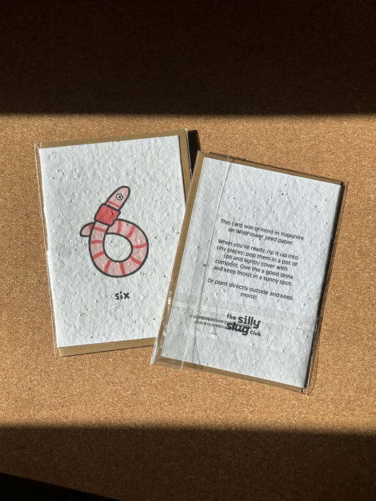 Wiggly Worm 6th Birthday Card | wild flower paper