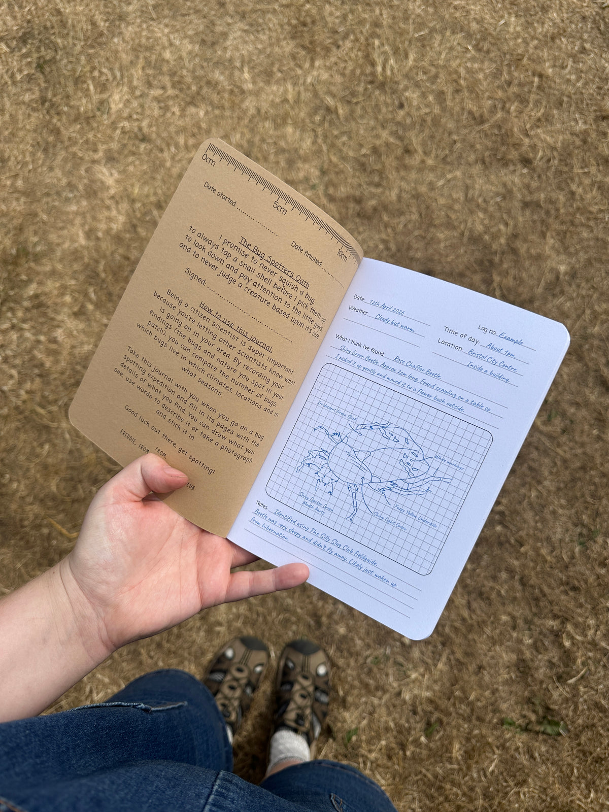 The Bug Spotters Journal