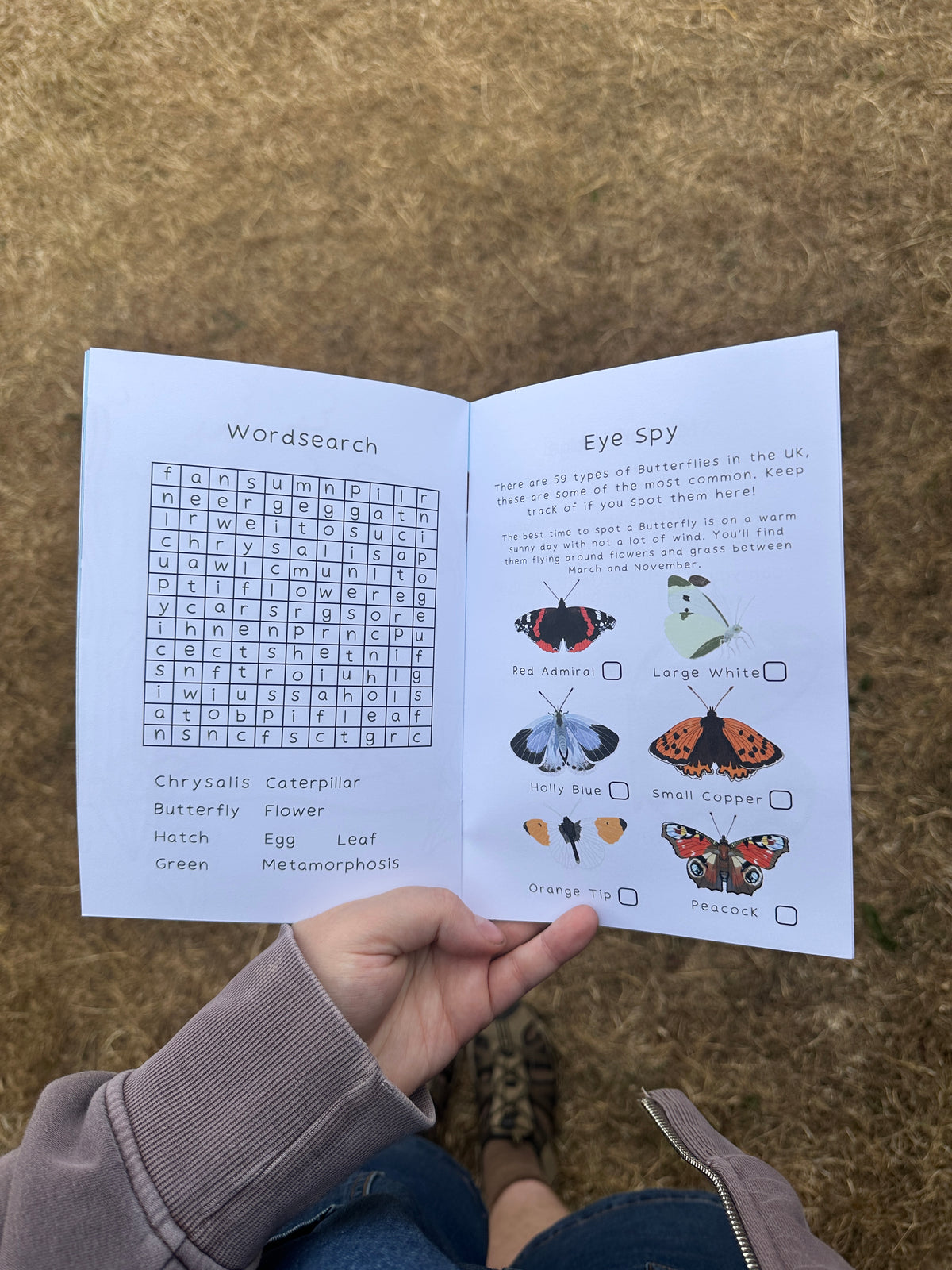 Where do Butterflies come from | Activity and Storybook