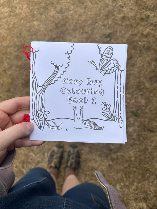Cosy Bug Mini Colouring Book 1