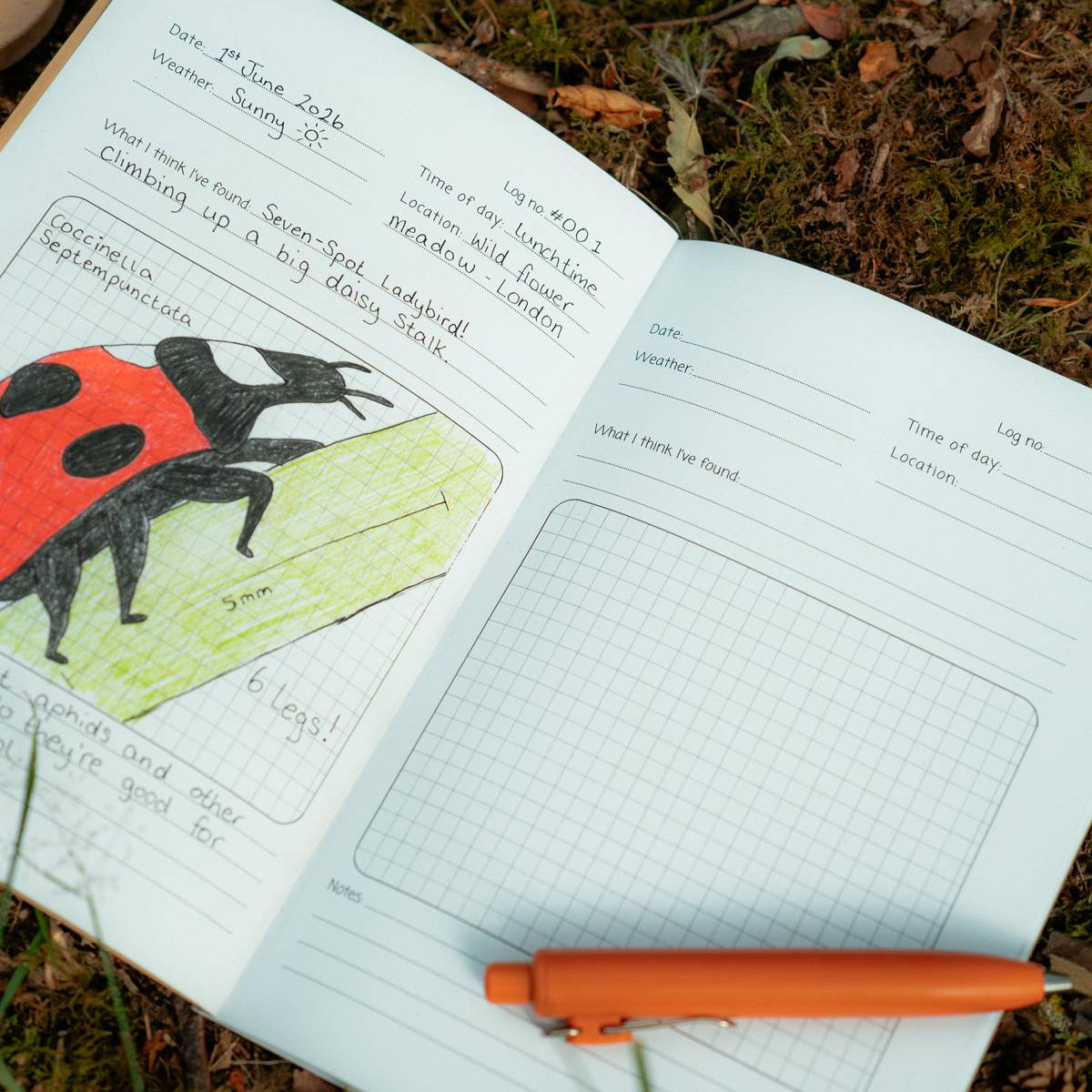 An open notebook lying on grass and leaves outdoors, with a red-and-black ladybug drawing on one page and an orange pen resting on the right page.