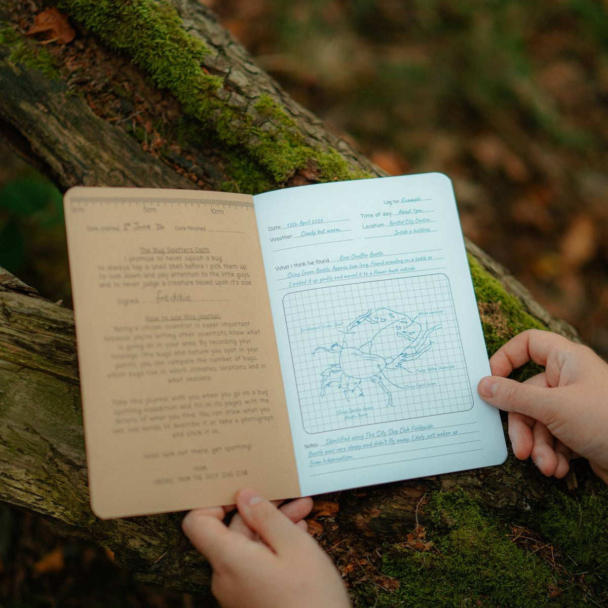 An open journal lying on a mossy log in a forest, with two hands holding the pages. The left page has tan paper with printed text, and the right page has white paper with a blue beetle sketch and handwritten notes.