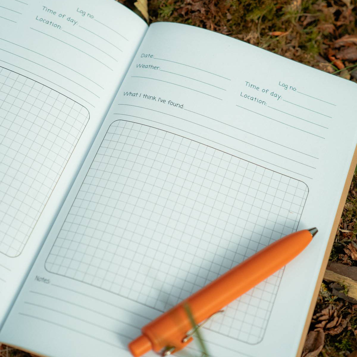 An open journal with observation prompts and a grid section for drawing, lies on a bed of dry leaves and grass outdoors, with an orange pen resting across the open pages.